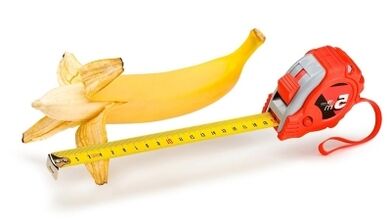 La taille normale du pénis est de 13 à 17 cm